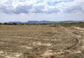 Terreny no urbanitzable en venda a la España, Petrer, ref.: TR131722 foto