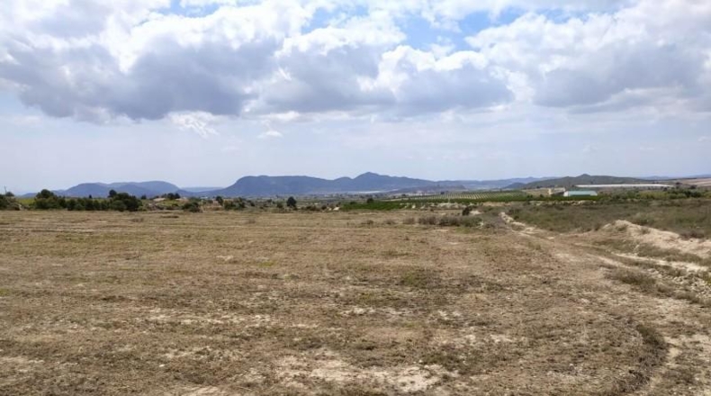 Alicante - Petrer - 100000m2