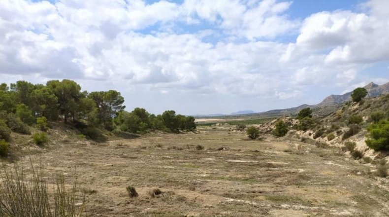 Alicante - Petrer - 100000m2