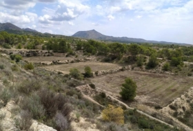 Foto 13