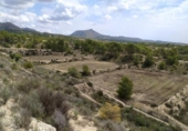 Terreny no urbanitzable en venda a la España, Petrer, ref.: TR131722 foto