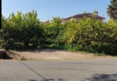 Sòl urbà en venda a la España, Archena, ref.: TR309051 foto