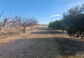 Casa de camp amb terreny en venda a la España, Matola, ref.: TR221599 foto