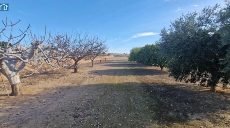 Alicante - Elx - 1851m2