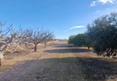 Casa de camp amb terreny en venda a la España, Matola, ref.: TR221599 foto
