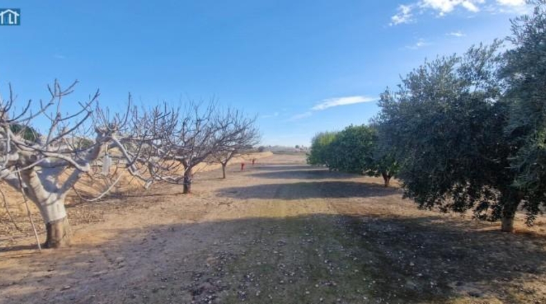 Alicante - Elx - 1851m2