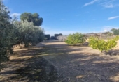 Casa de camp amb terreny en venda a la España, Matola, ref.: TR221599 foto