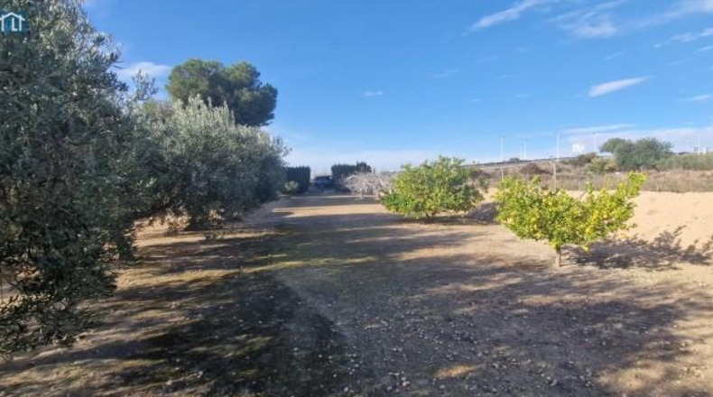 Alicante - Elx - 1851m2