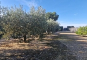 Casa de camp amb terreny en venda a la España, Matola, ref.: TR221599 foto