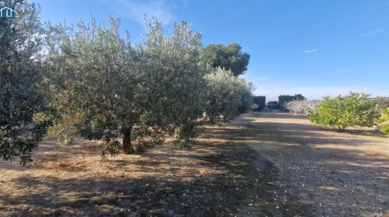 Alicante - Elx - 1851m2