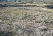 Terreny no urbanitzable en venda a la España, el Fondó de les Neus, ref.: TR119667 foto