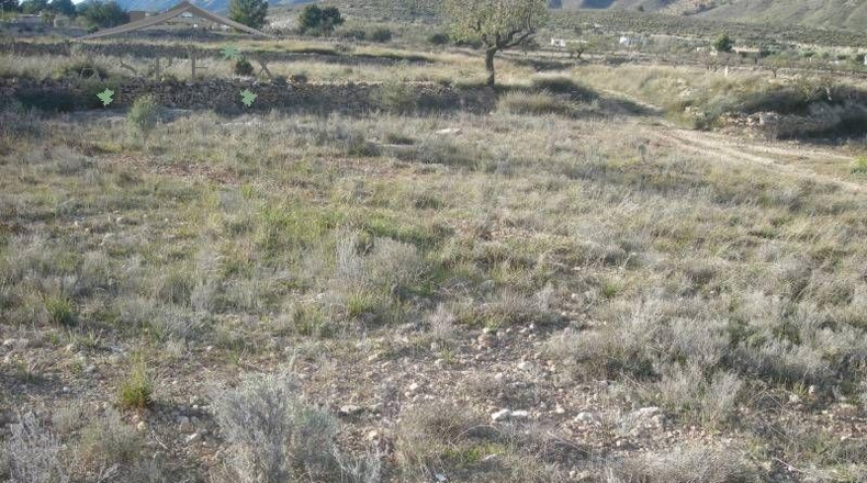 Alicante - Hondón de las Nieves - 40600m2