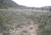 Terreny no urbanitzable en venda a la España, el Fondó de les Neus, ref.: TR119667 foto