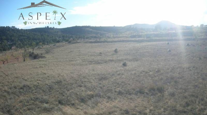 Alicante - Hondón de las Nieves - 40600m2