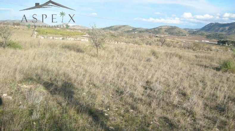 Alicante - Hondón de las Nieves - 40600m2