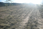 Terreny no urbanitzable en venda a la España, el Fondó de les Neus, ref.: TR119667 foto