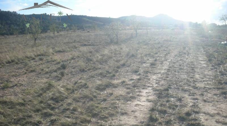 Alicante - Hondón de las Nieves - 40600m2