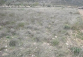 Terreny no urbanitzable en venda a la España, el Fondó de les Neus, ref.: TR119667 foto