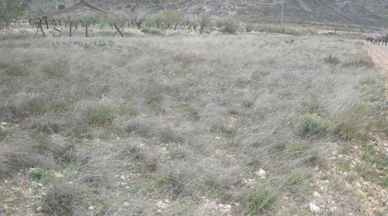 Alicante - Hondón de las Nieves - 40600m2
