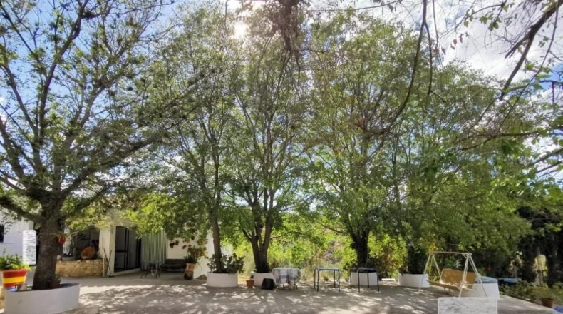 Córdoba - Baena - 5804m2