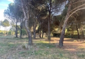 Parcela urbanizable en venta en la España, Boecillo, ref: TR124292 foto