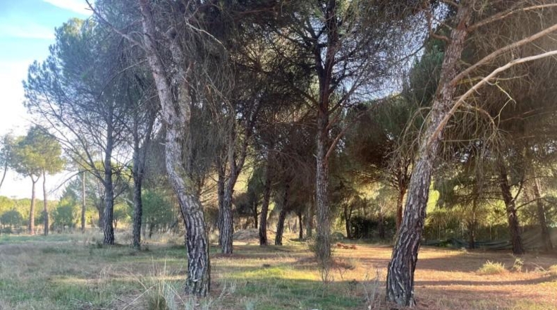 Valladolid - Boecillo - 1849m2