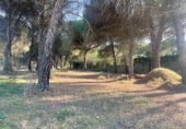 Parcela urbanizable en venta en la España, Boecillo, ref: TR124292 foto