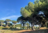 Parcela urbanizable en venta en la España, Boecillo, ref: TR124292 foto