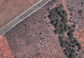 Terreno no urbanizable en venta en la España, Benicasim, ref: TR378662 foto
