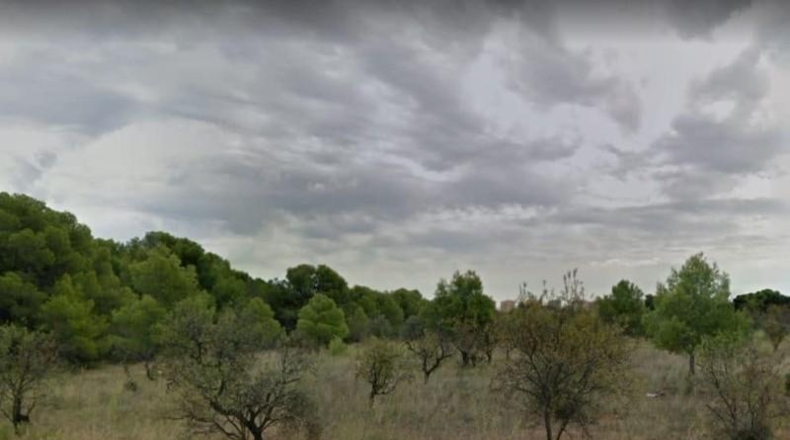 Castellón - Benicasim - 6648m2