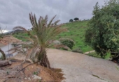 Finca rústica en venda a la España, Cártama, ref.: TR294368 foto