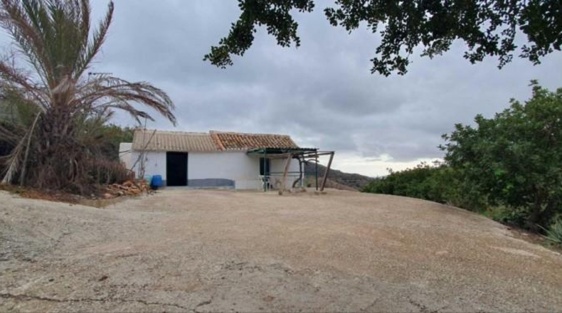 Málaga - Cártama - 23500m2