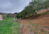 Finca rústica en venda a la España, Cártama, ref.: TR294368 foto