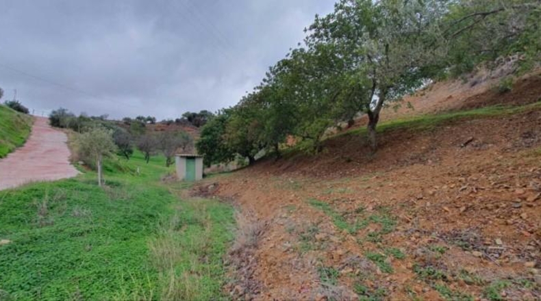 Málaga - Cártama - 23500m2