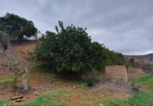 Finca rústica en venda a la España, Cártama, ref.: TR294368 foto