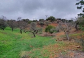 Finca rústica en venda a la España, Cártama, ref.: TR294368 foto