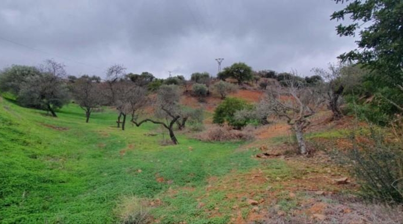 Málaga - Cártama - 23500m2
