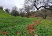 Finca rústica en venda a la España, Cártama, ref.: TR294368 foto