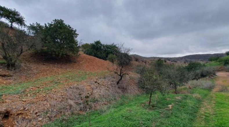 Málaga - Cártama - 23500m2