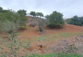 Finca rústica en venda a la España, Cártama, ref.: TR294368 foto