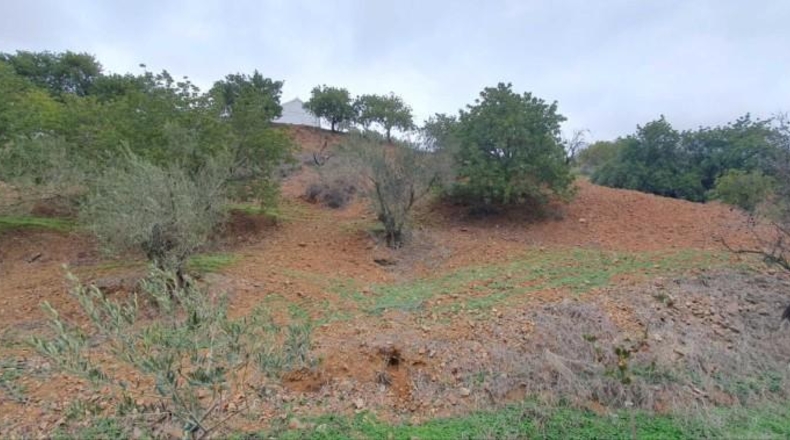 Málaga - Cártama - 23500m2