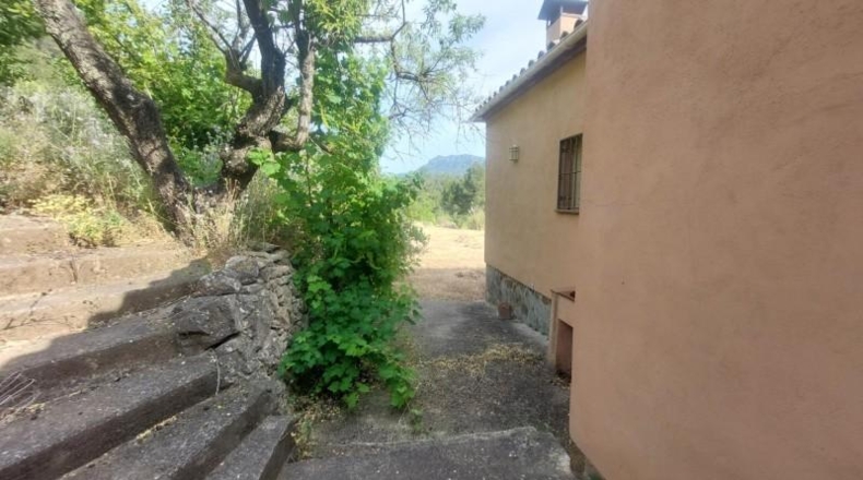 Tarragona - Tivissa - 27228m2