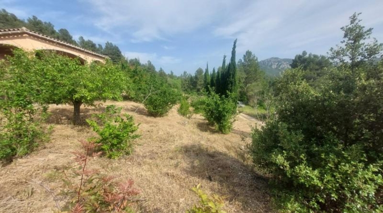 Tarragona - Tivissa - 27228m2