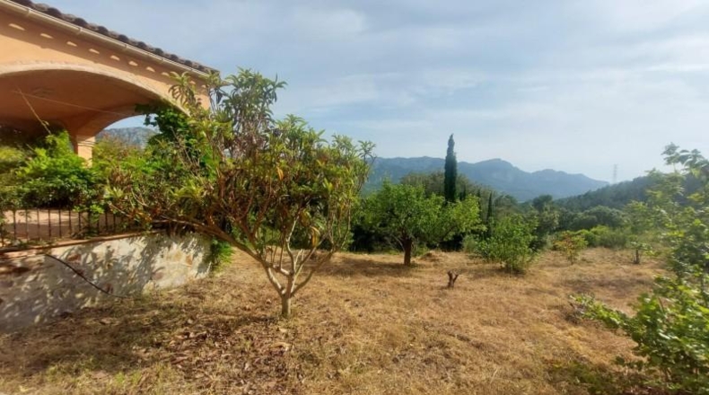 Tarragona - Tivissa - 27228m2