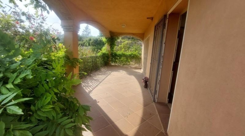 Tarragona - Tivissa - 27228m2
