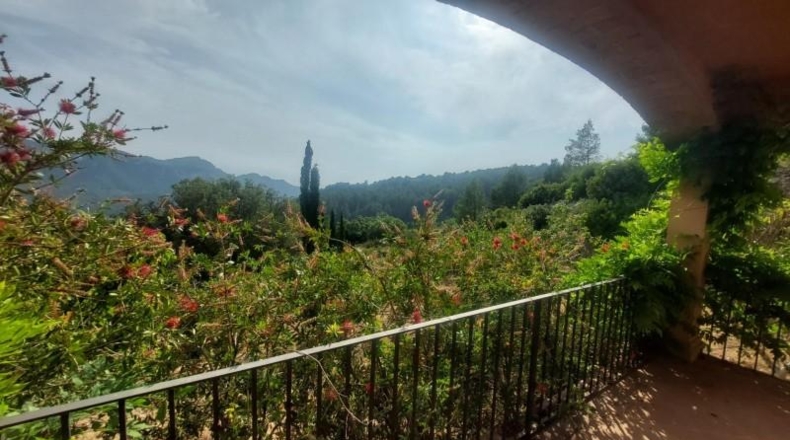 Tarragona - Tivissa - 27228m2