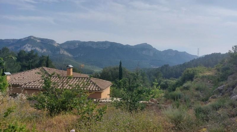 Tarragona - Tivissa - 27228m2