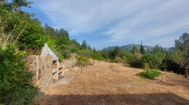 Tarragona - Tivissa - 27228m2