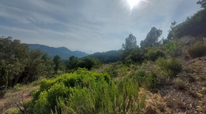 Tarragona - Tivissa - 27228m2
