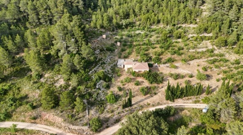 Tarragona - Tivissa - 27228m2